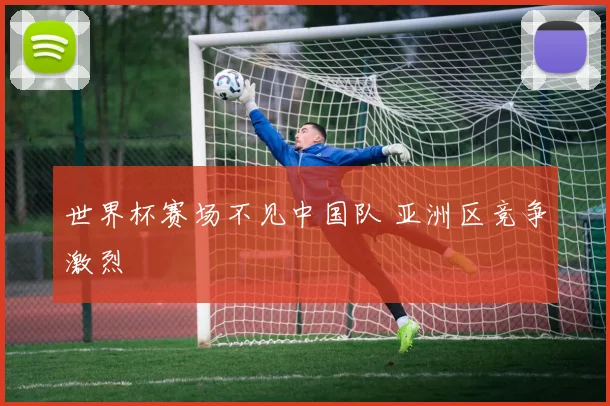 世界杯赛场不见中国队 亚洲区竞争激烈