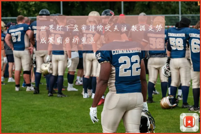 世界杯下盘率持续受关注 数据走势成赛前分析重点
