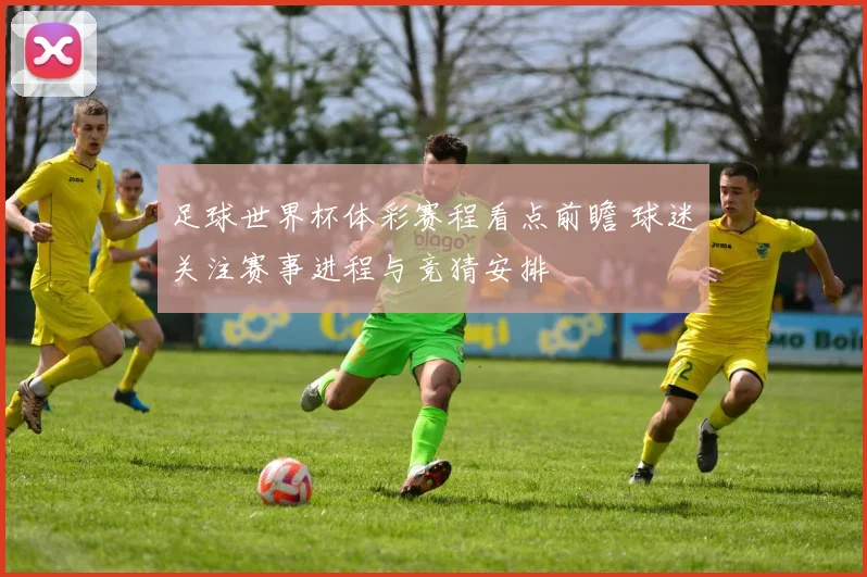 足球世界杯体彩赛程看点前瞻 球迷关注赛事进程与竞猜安排
