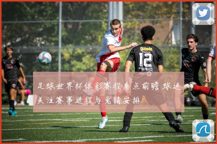 足球世界杯体彩赛程看点前瞻 球迷关注赛事进程与竞猜安排