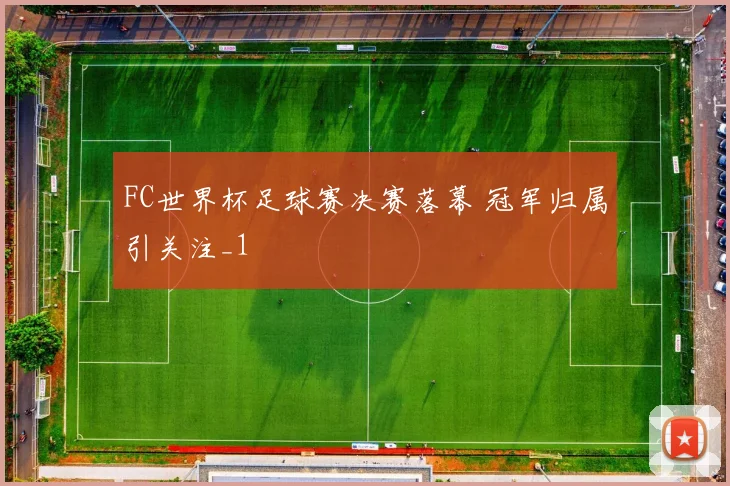 FC世界杯足球赛决赛落幕 冠军归属引关注_1