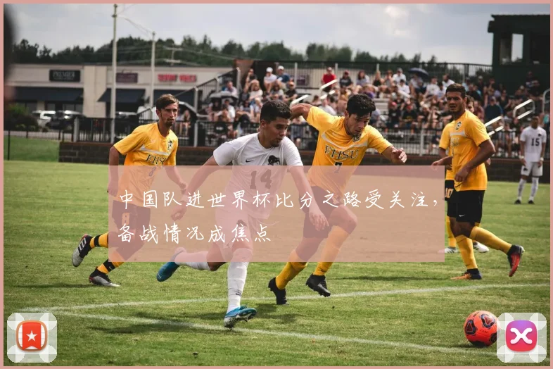 中国队进世界杯比分之路受关注,备战情况成焦点