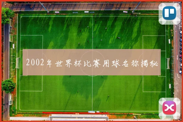 2002年世界杯比赛用球名称揭秘
