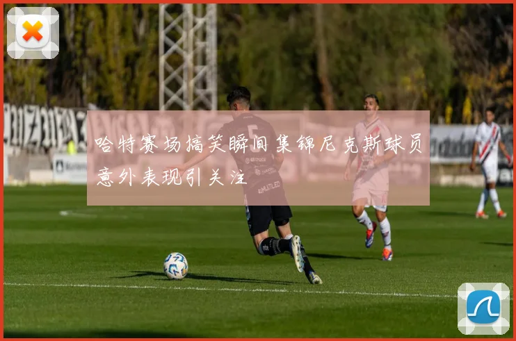 哈特赛场搞笑瞬间集锦尼克斯球员意外表现引关注