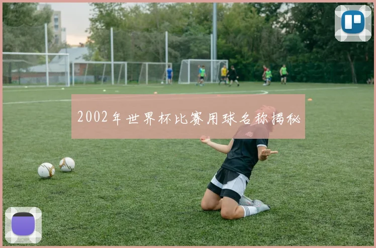 2002年世界杯比赛用球名称揭秘
