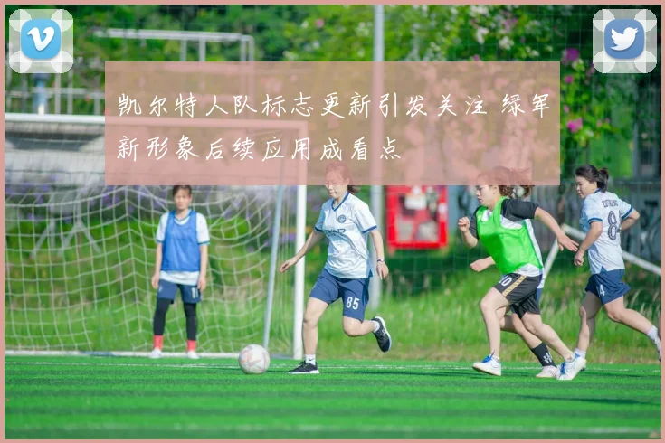 凯尔特人队标志更新引发关注 绿军新形象后续应用成看点